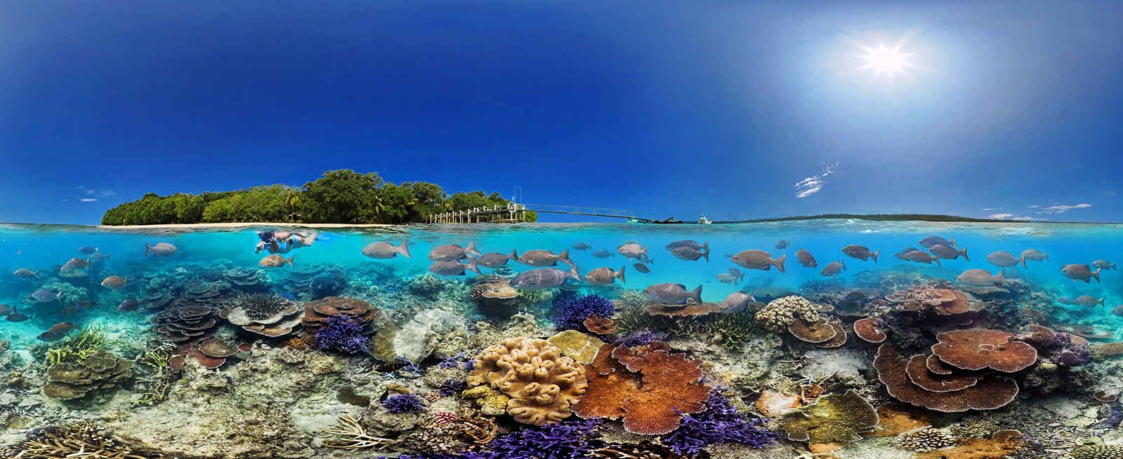Diving in Vanuatu